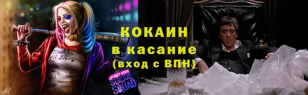 шишки Арсеньев