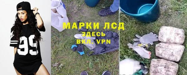 крисы Армянск