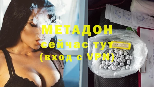 шишки Арсеньев