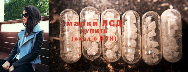 шишки Арсеньев