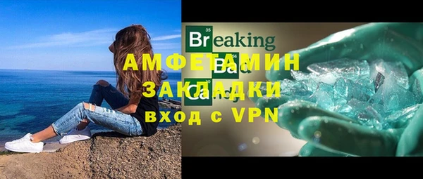 шишки Арсеньев
