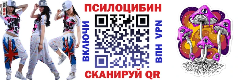 Псилоцибиновые грибы мухоморы  сколько стоит  Суджа 